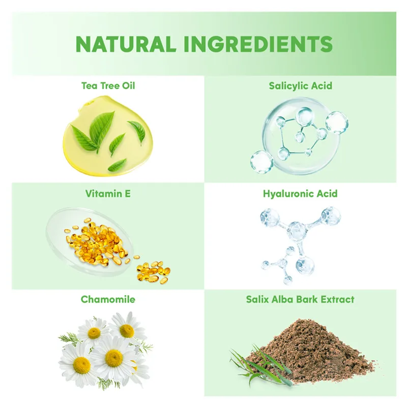 Pjordo Private Label Moisturizing Anti Redness Skin Soothing Tea Tree Acne Treatment Skincare Set 3PCS Tea Tree Skin Care Set