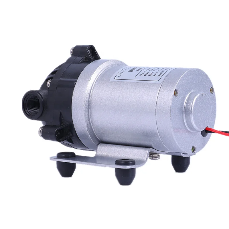 Whaleflo DP-60A BLDC 12v brushless motor 5L/min road sweeper spray pump beauty equipment self-priming booster pump