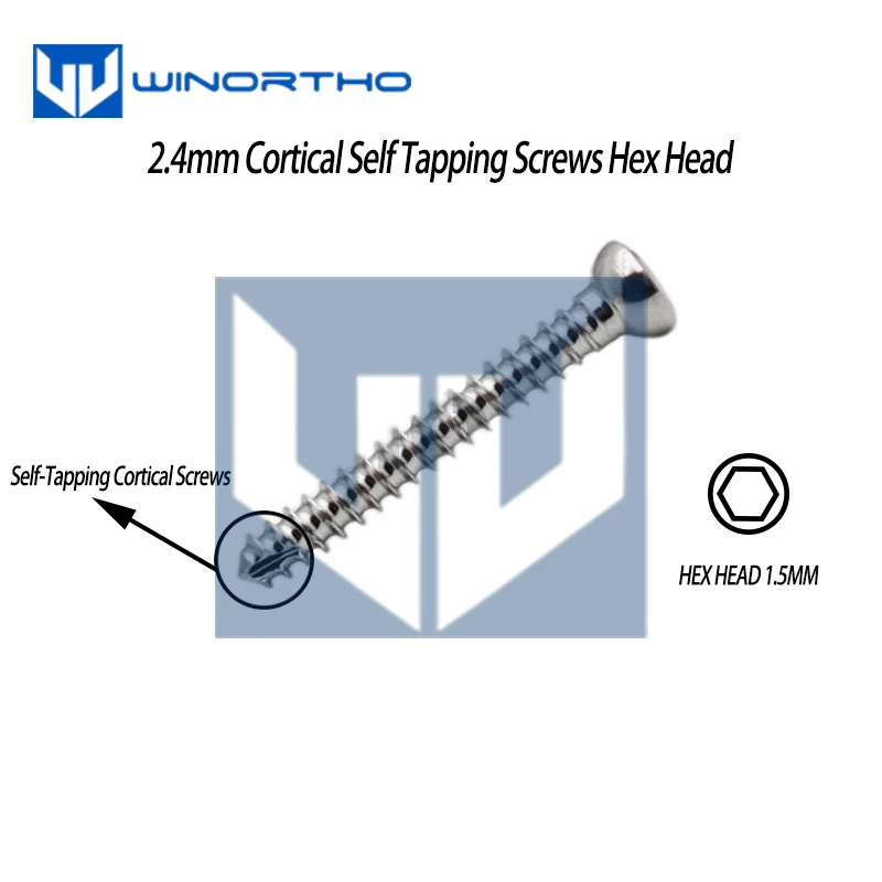 316LVM Stainless steel cortex bone screws self-tapping hex cortical  pet surgical tools and veterinary orthopedic instruments