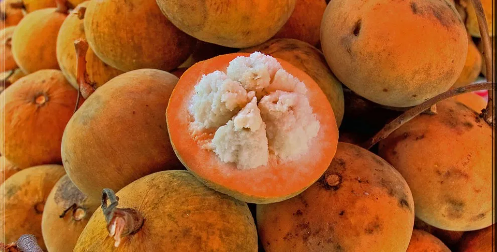 Preserved Santol Fruit Food Preservatives Natural Pickled  from Thailand