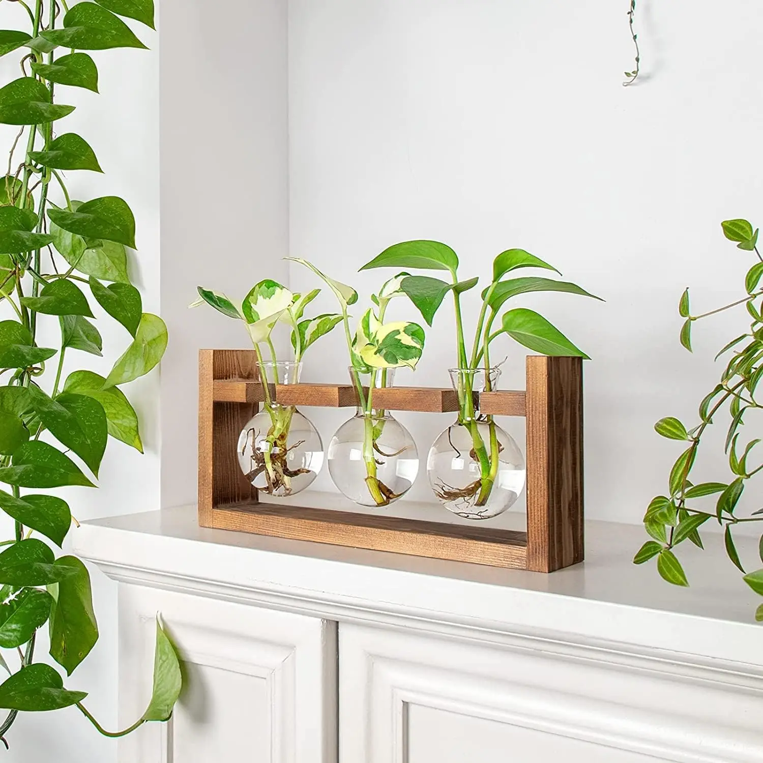 Hot Sale  Wood Plant Holder Glass Plant Bulb Vase with Retro Solid Wooden Stand for Hydroponics Plants Home Garden Wedding Decor