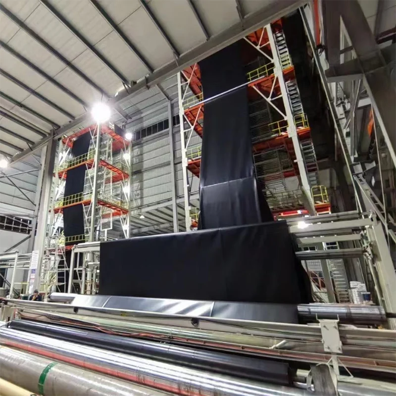 HDPE waterproof membrane Geomembrane Pond Protection Membrane Heavy Duty Pond Liner