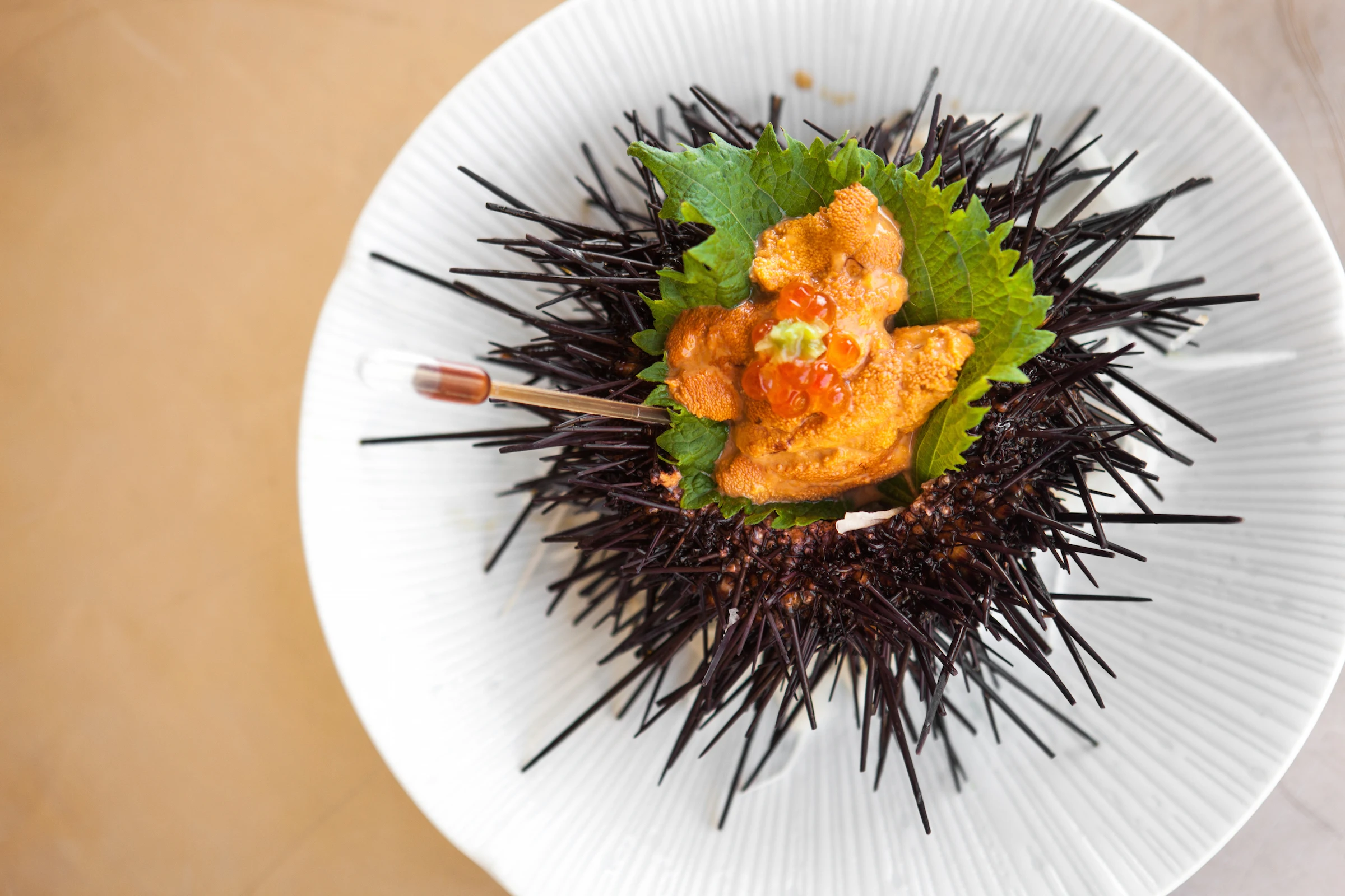 
Imported nature fresh urchin frozen sea urchin from Japan 