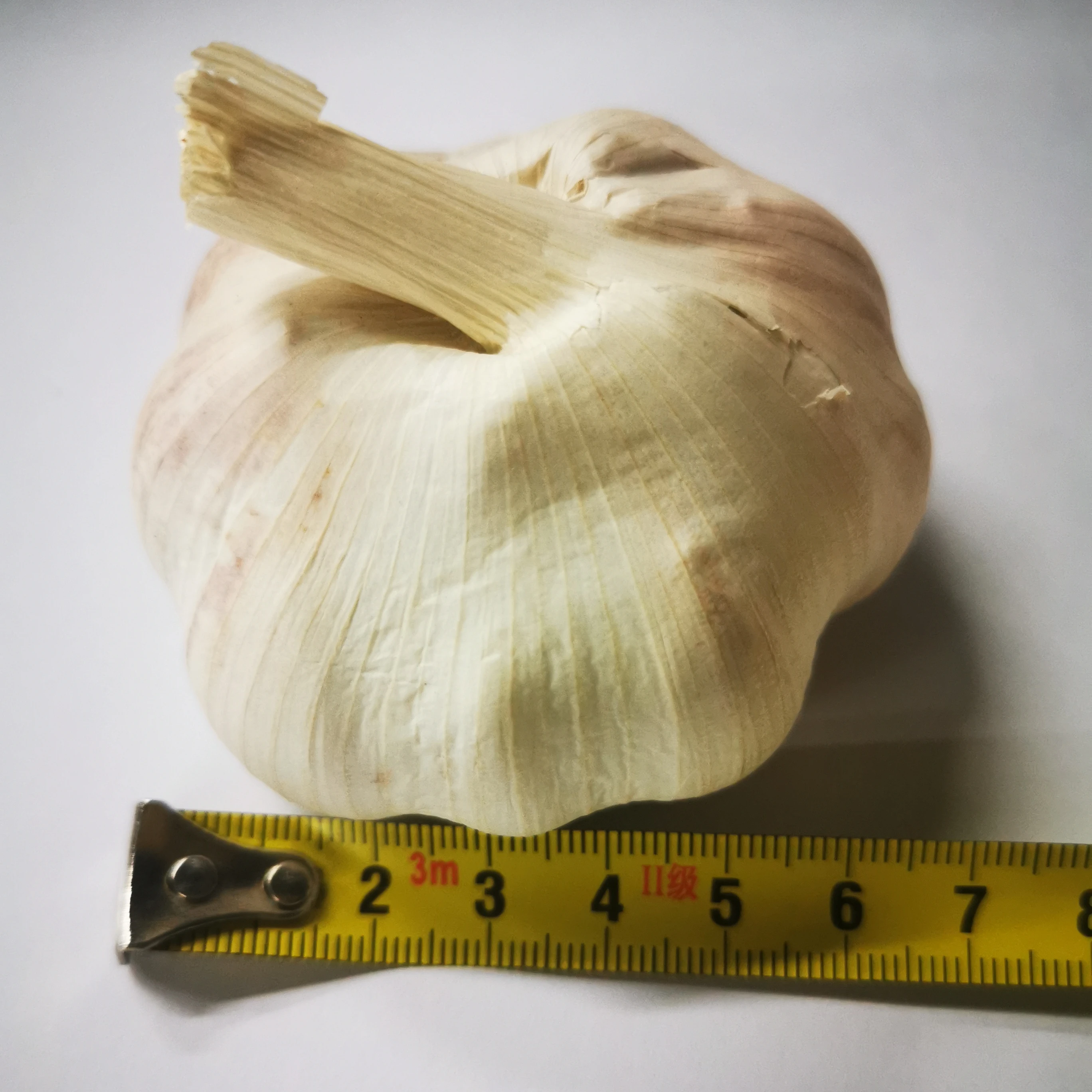 Китай/китайский свежий чеснок оптом, Обычный белый для оптовой продажи, 2021 новый урожай, свежий чеснок, экспортеры