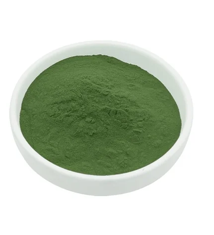 Bulk Price ISO Factory High Protein Organic Chlorella Powder Chlorella Vulgaris Powder