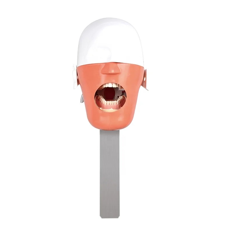 Dental stool education products Dental phantom head for dental chair unit