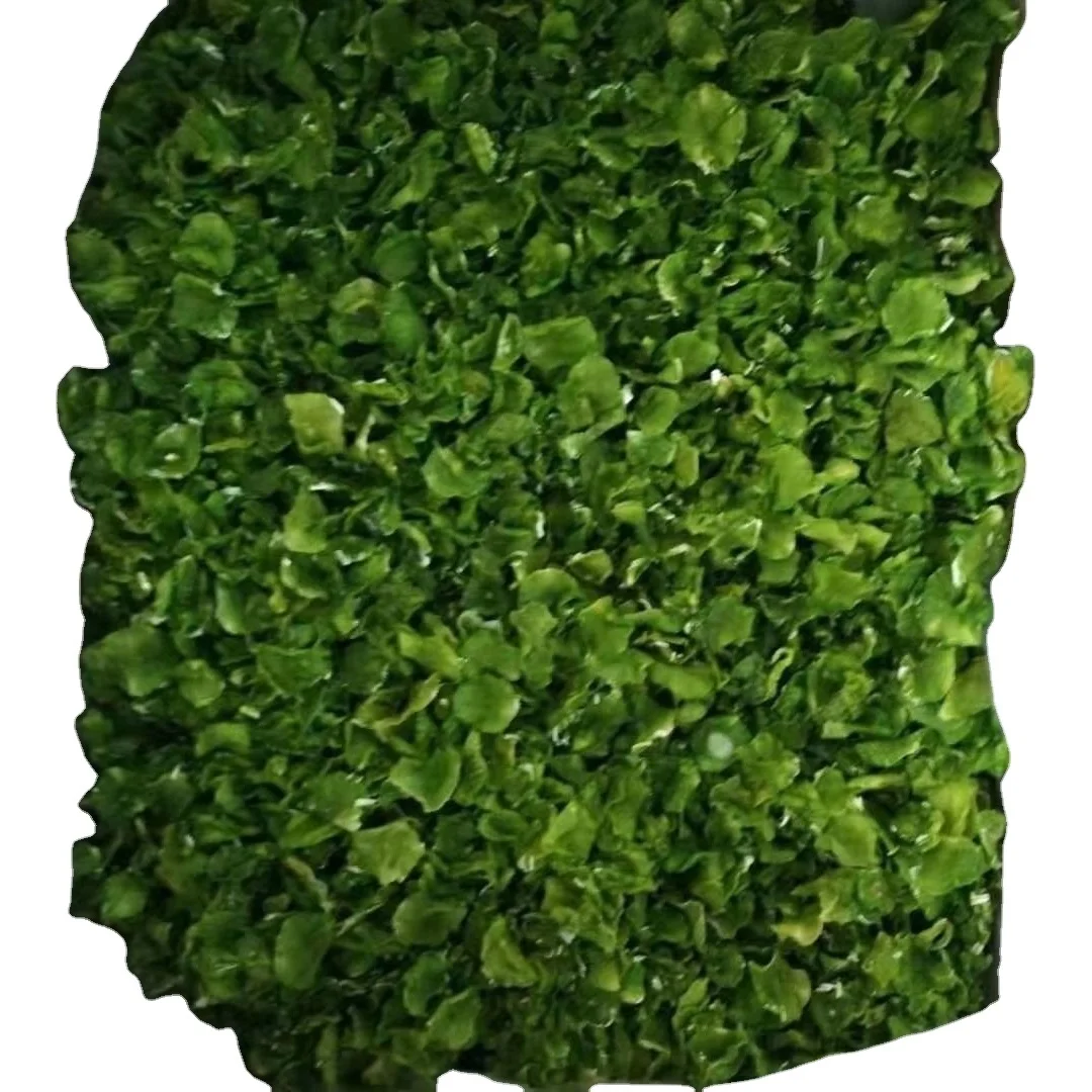 Specializing in the production of authentic high quality dehydrated vegetables freeze-dried vegetables