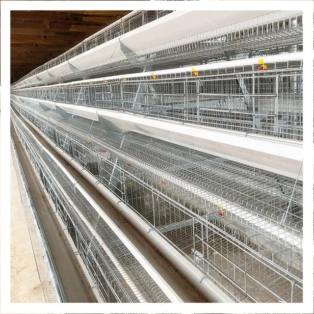 Best Quality 3 tiers 96 Birds Layer Poultry Battery Chicken Cages For Sale