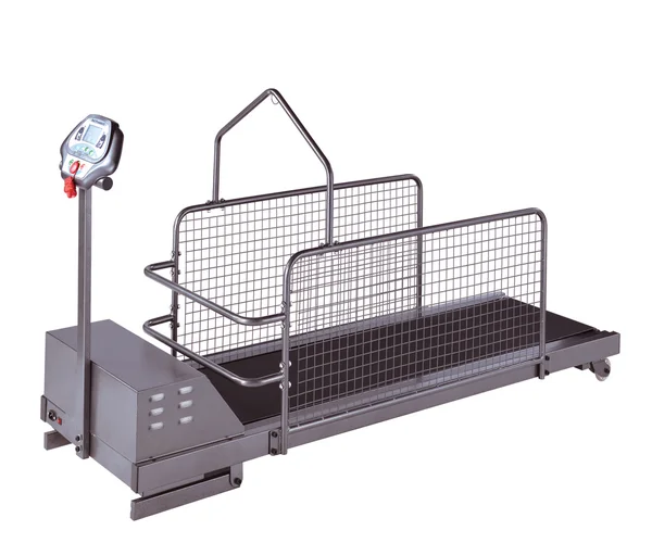 Height Adjustable Dog Treadmill For Big Dogs