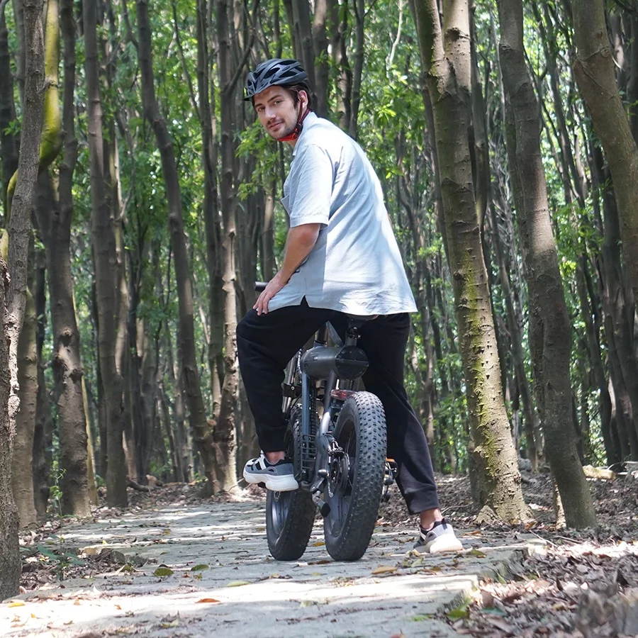 T20 Coswheel 2 seat electric bike rechargeable 20 inches big wheel size cycling 500W 48V Electric Bike