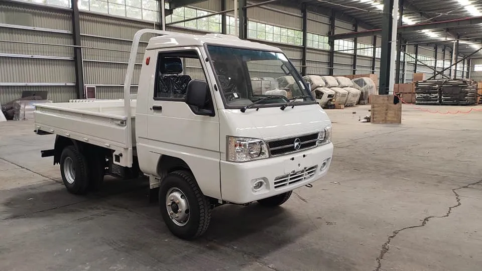 
E-1 cheaper 1ton mini pickup truck hot sale 