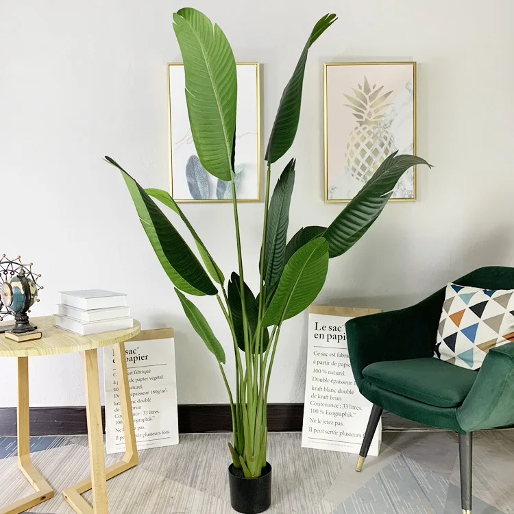 Living Room Outdoor Potted Face Monstera Plants For Artificial Plant