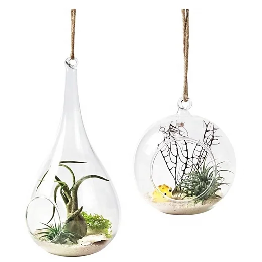 2 Pack Air Plant Terrarium For Home Decorations Succulent Moss Tillandsias Air Ferns Candles