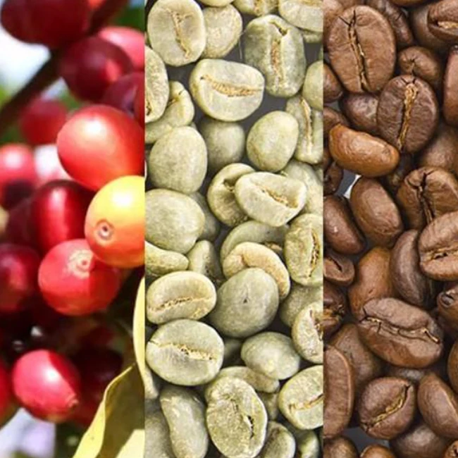 Multifunctional automatic coffee bean huller machine