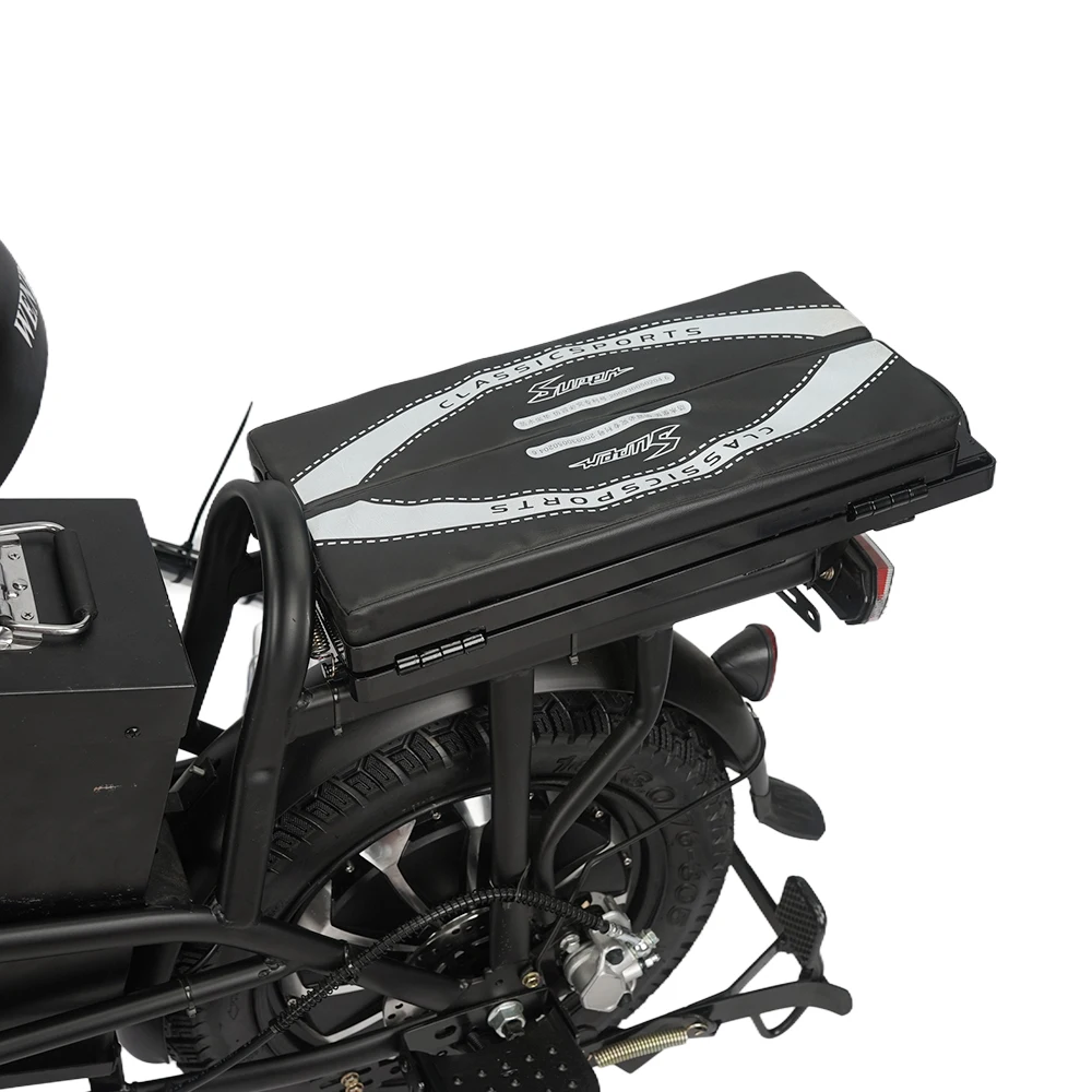 Professional Chinese Manufacturers High Carbon Steel Frame Riding And Electric Bicycle For Sale