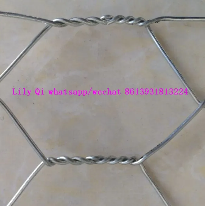 hexagonal chicken wire mesh/Galvanized Stucco Wire Netting 20 gauge