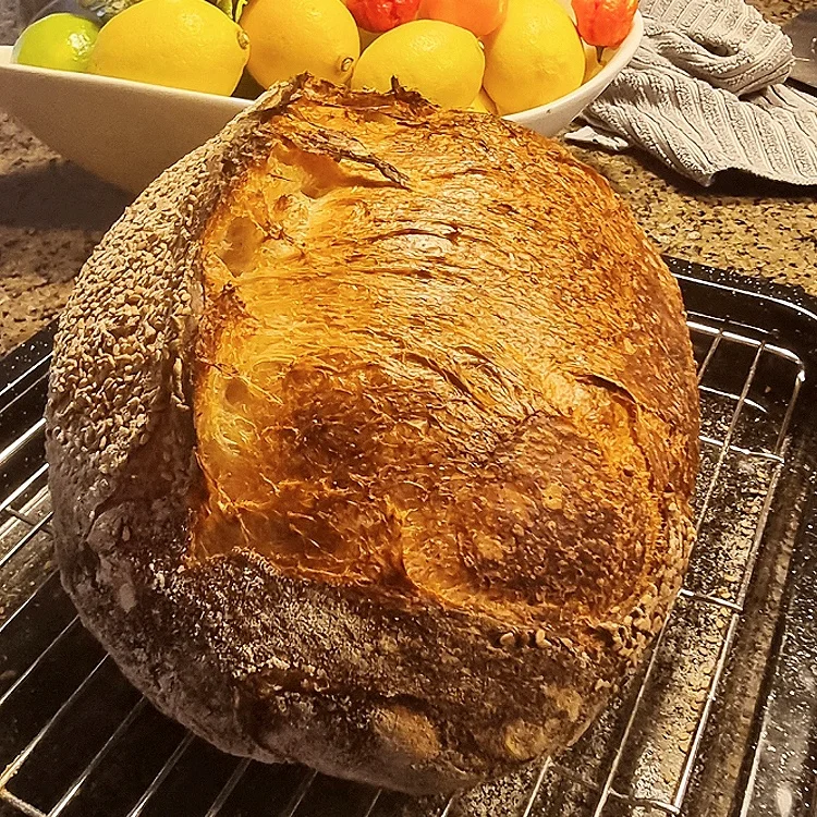 Revolutionize Your Baking of Yeast Fusion, For Healthier and Tastier Treats with 500g Our Organic Yeast, dry yeast,instant yeast