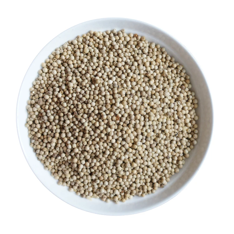 
Hot Peppers White AD Chilli & Pepper Single Herbs & Spices Dried with Low Price Fried Round 