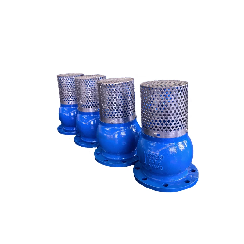 Wholesale High Quality Industrial 2 1/2 Inch Ductile Iron Flanged Foot Valve With Filter