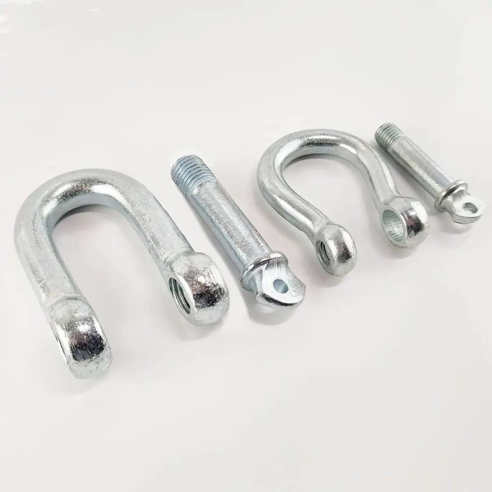 Stainless Steel 304/316 European Type Dee Shackle D Shackle Lifting