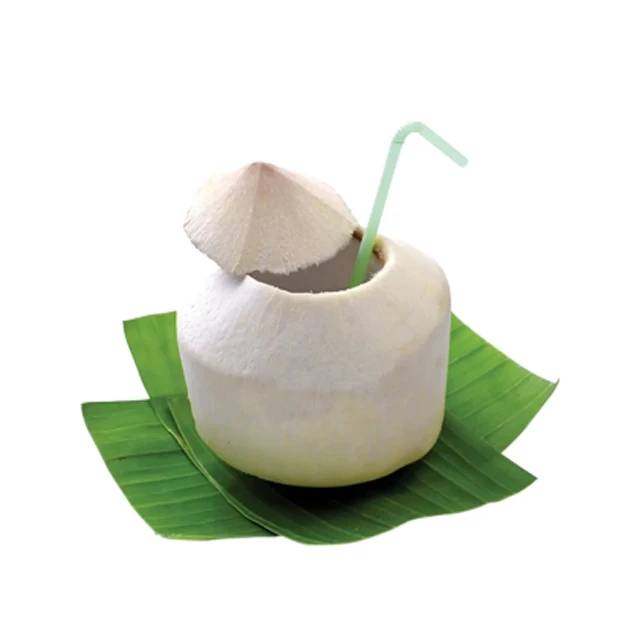 Coconut Fresh Premium Juice Drink From Thailand Best Seller Natural Thai Fruit Drink Wholesales Best Seller From Thailand