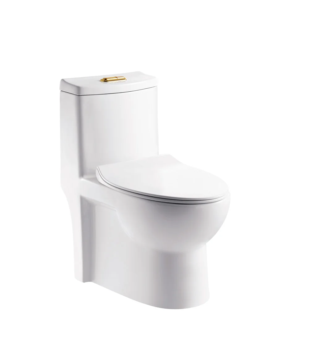 high quality washdown two-piece closet ceramic toilet G-LT1006 made in  China