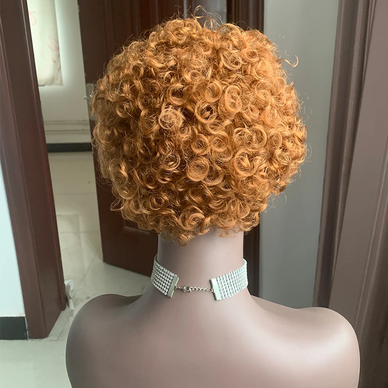 Short Kinky Curly Wigs Lace Front Wigs Human Hair Short Bob Wigs for Black Women Cheap Price Short 10 Inches 1 Piece Transparent