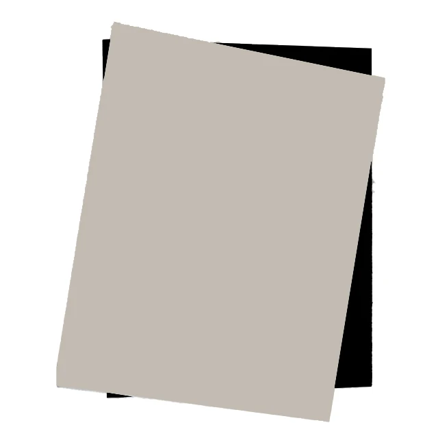Hot Sale Oem Corrosion Resistance Black Color Apricot Plastic Sheet Pps Board
