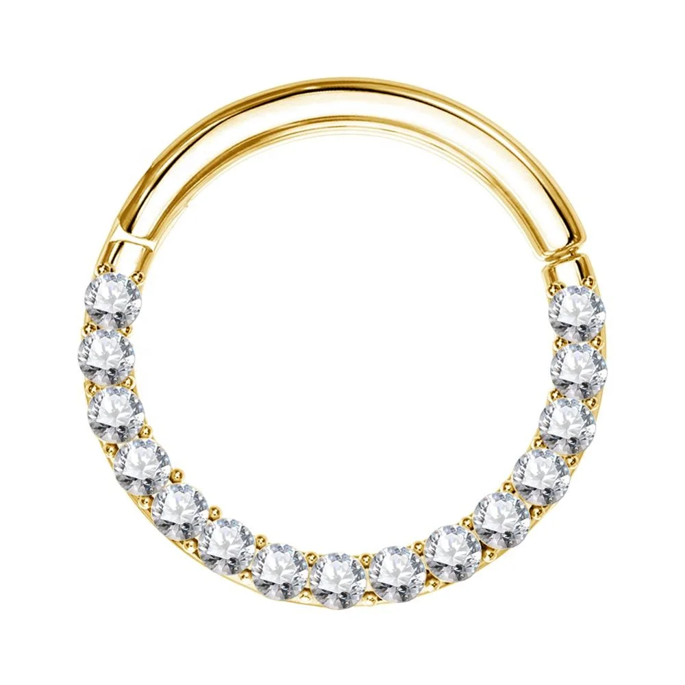 PVD Gold 316L Stainless Steel Gems Front CZ Clicker Segment Ring Body Piercing Jewelry