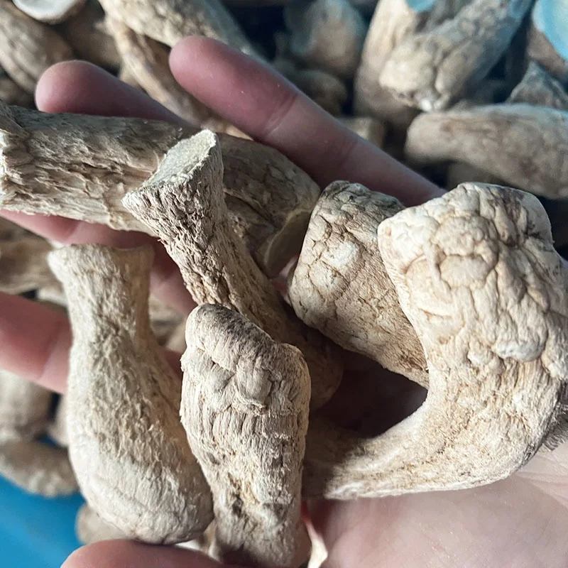 Manufacturer Supply High Quality Instant Food Shitake Mushroom Delicious Snack Dried Shiitake Mushroom