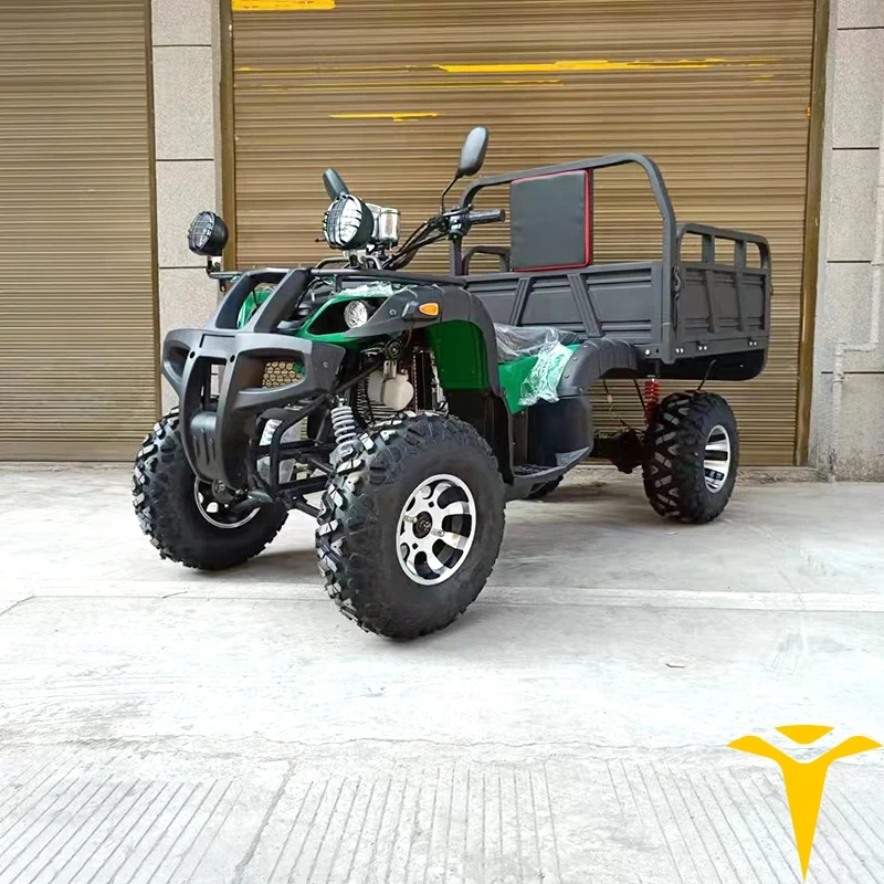 Багги 49cc Mini четыре колеса Atv Quad для взрослых