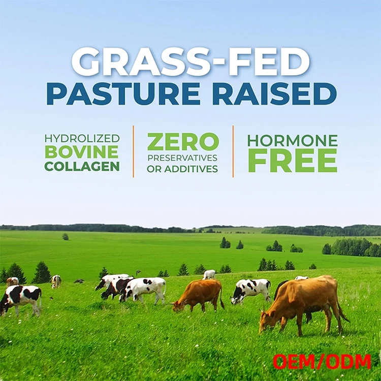 240 Capsules Multi Collagen Capsule Peptides Hydrolyzed Collagen Supplements Multi Collagen Pills with Hyaluronic Acid Vitamin C