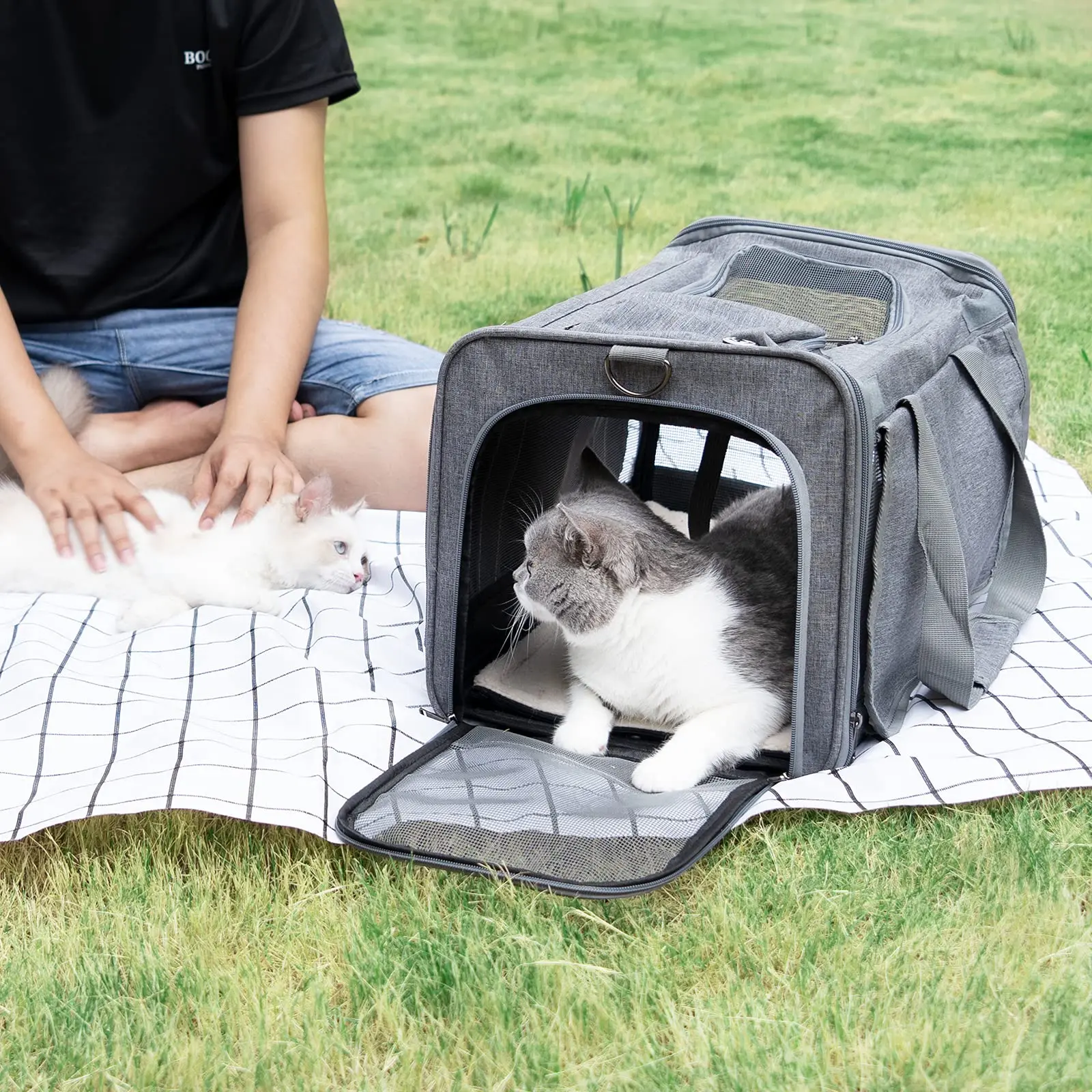 Hot selling Custom Portable Expandable Outdoor Foldable Soft-Sided  Pet Carrier  for dogs and cats