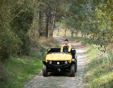 UTV manufacturer electric utv side by side 4x4 for farm golf course vineyard transport tool
