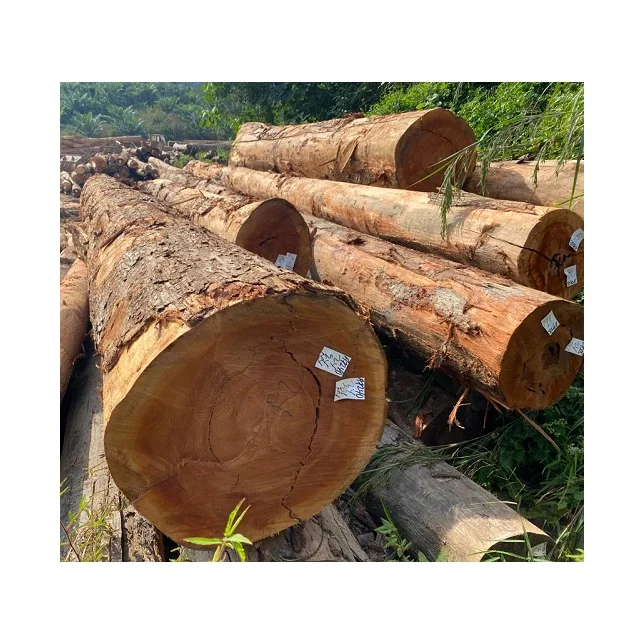 Wholesales Manufacturers Chengal Wood Logs Material Block Logs Wood Red Color Type Hardwood Timber Logs