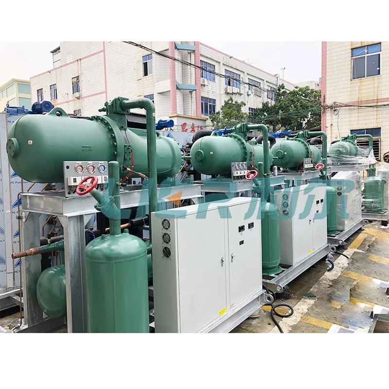 Air Cooling Condenser Flake Ice Machine Ice Plant for Shrimp seafood preservation