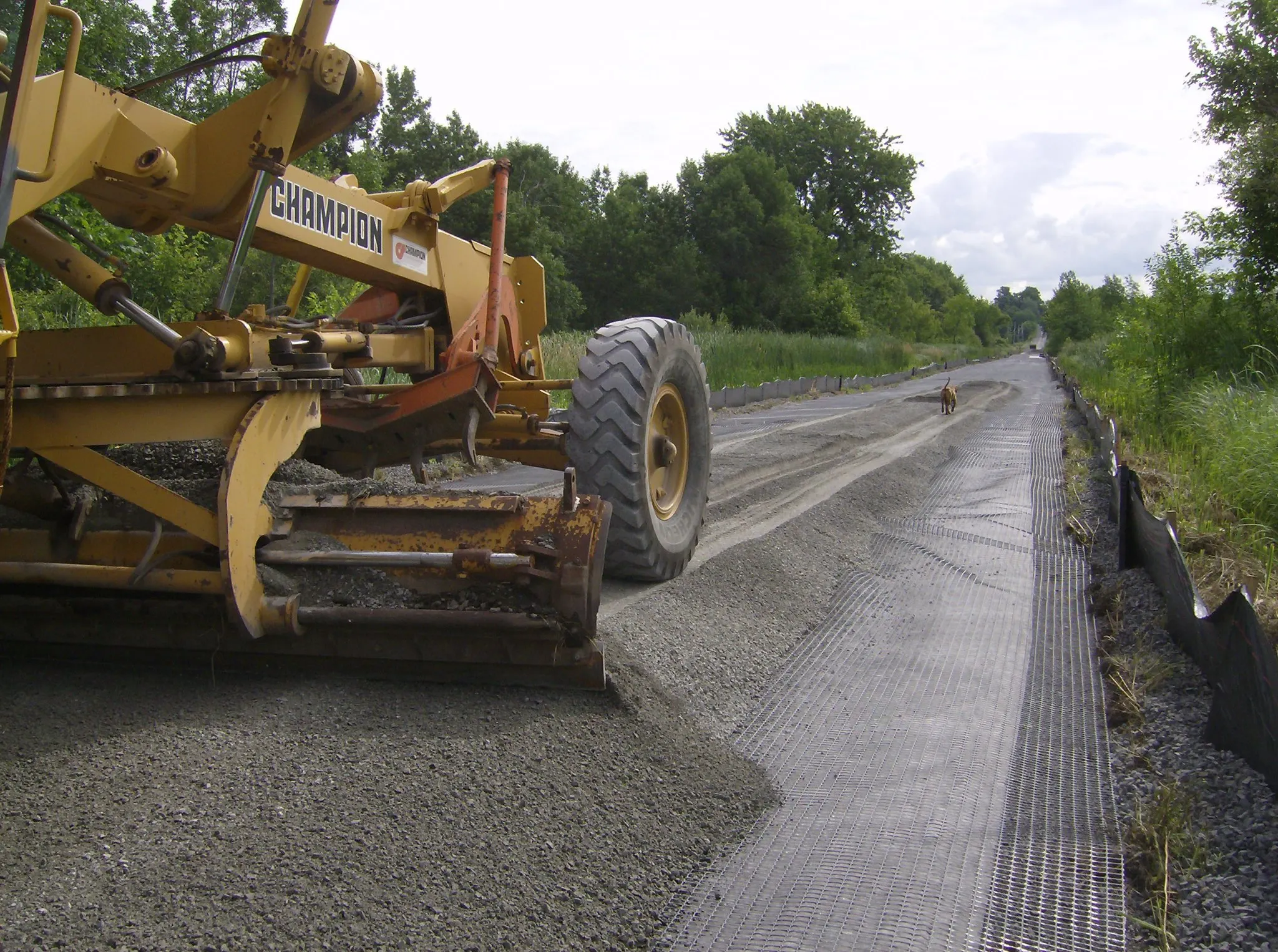 30kn 40kn 50kn PP hdpe  Fiberglass pp geogrid biaxial warp knitted geogrids in road strengthening retaining wall biaxial geogrid