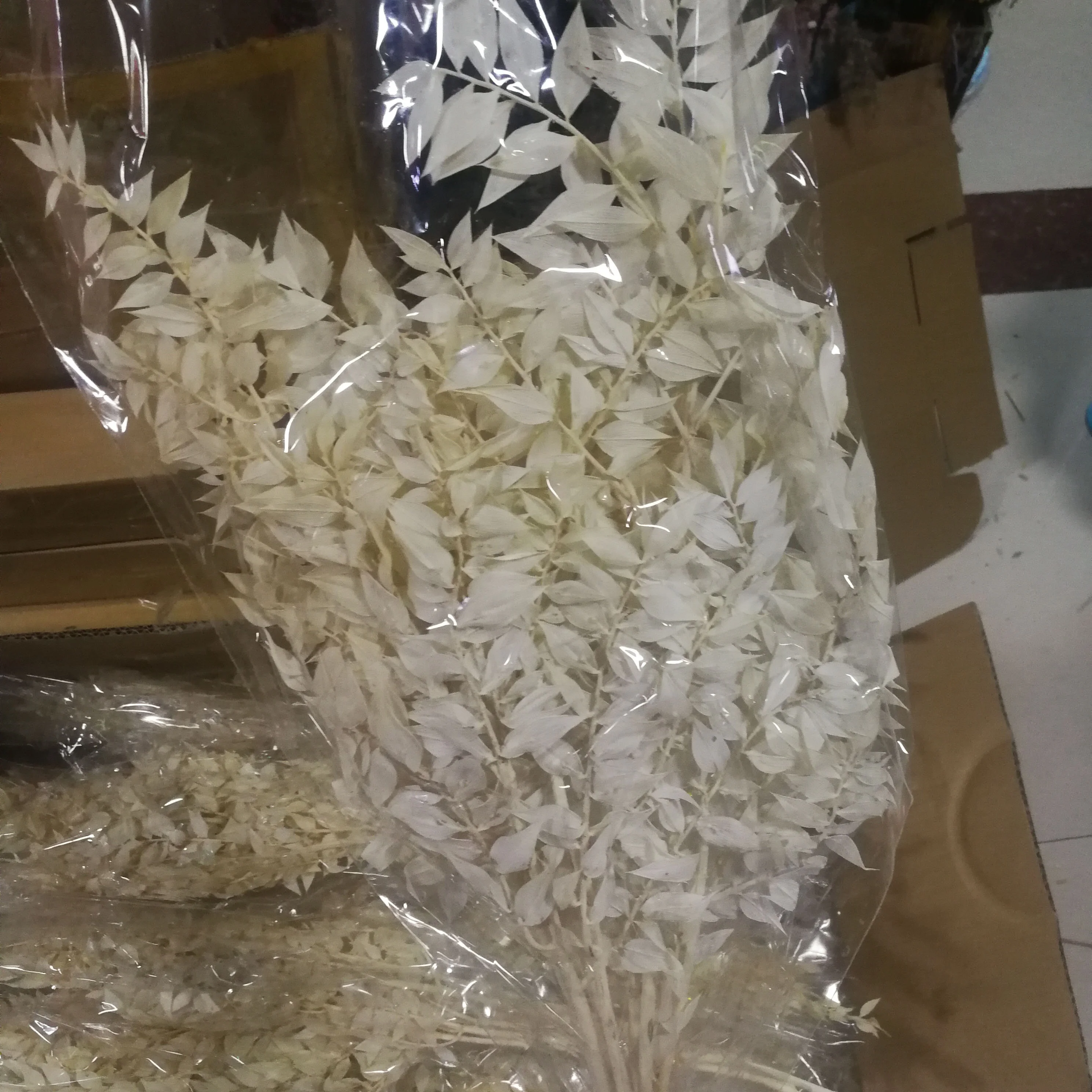 Real Flower ruscus bunch Arrangement dracaena sanderiana with Green Leaf