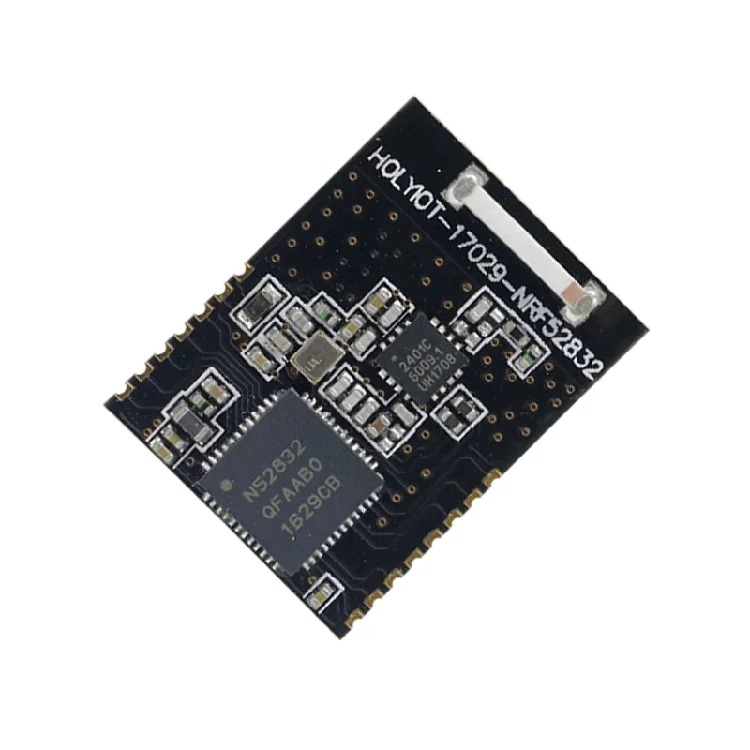 Holyiot Oem/odm Factory Sales Small Size Multi-device Transmission Rf Sigmesh Ad Hoc Network Module