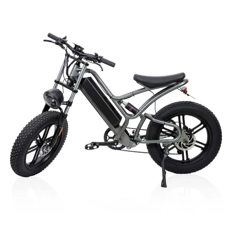 20 Inch Fat Tire All Terrain MTB 750W Electric Bike for outdoor