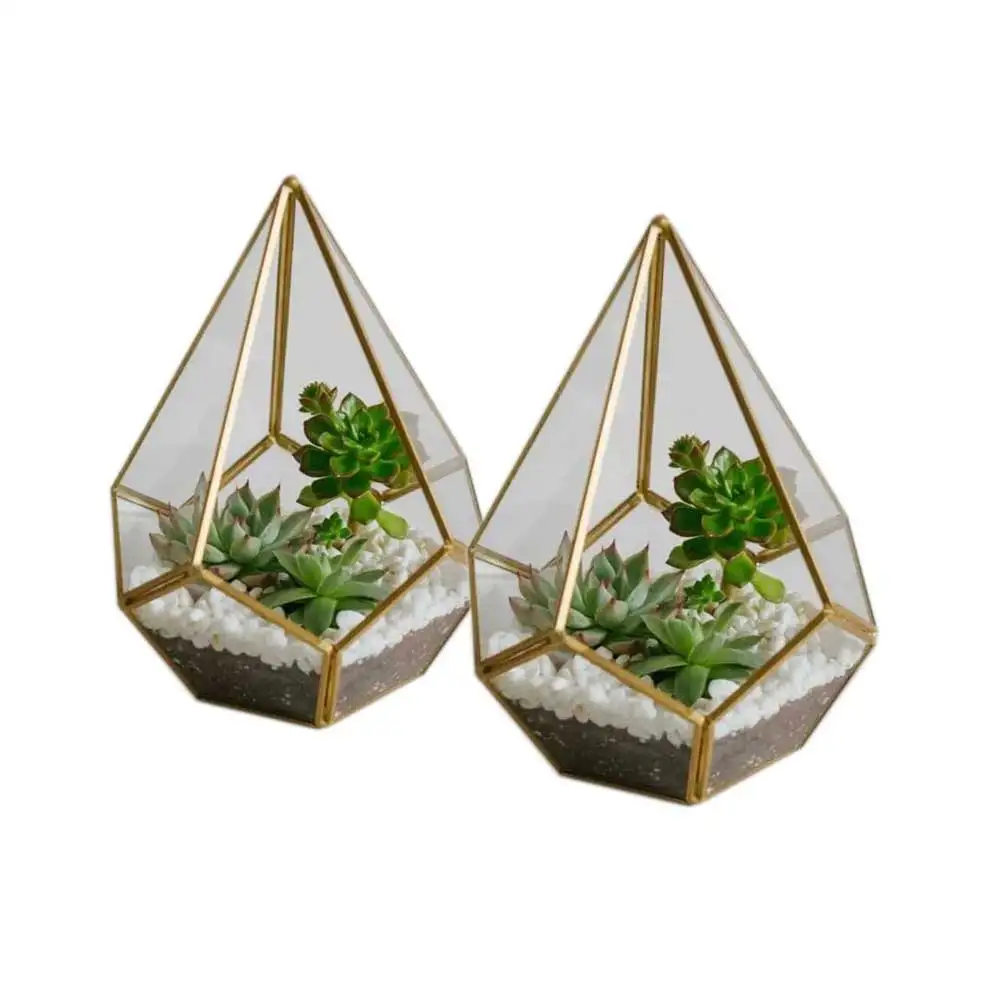 Geometric Glass Terrarium Wholesale Decorations for Home Tabletop Vase Europe