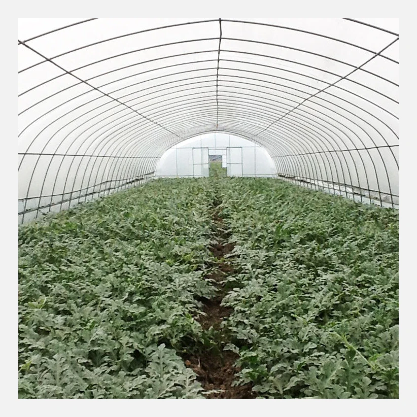 backyard green house polycarbonate plastic film small tunnel hoops serre agricole strawberry greenhouse kits