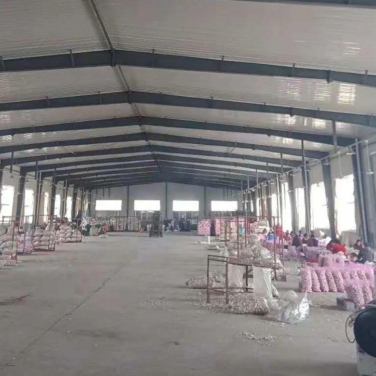 Garlic fresh normal white garlic in bulk Chinese ekspor red new crop big head ajo garlic bawang putih mesh bag