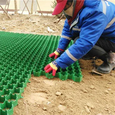 Grass Grid Pavers for Driveway Paver Polymer Hdpe Geocell