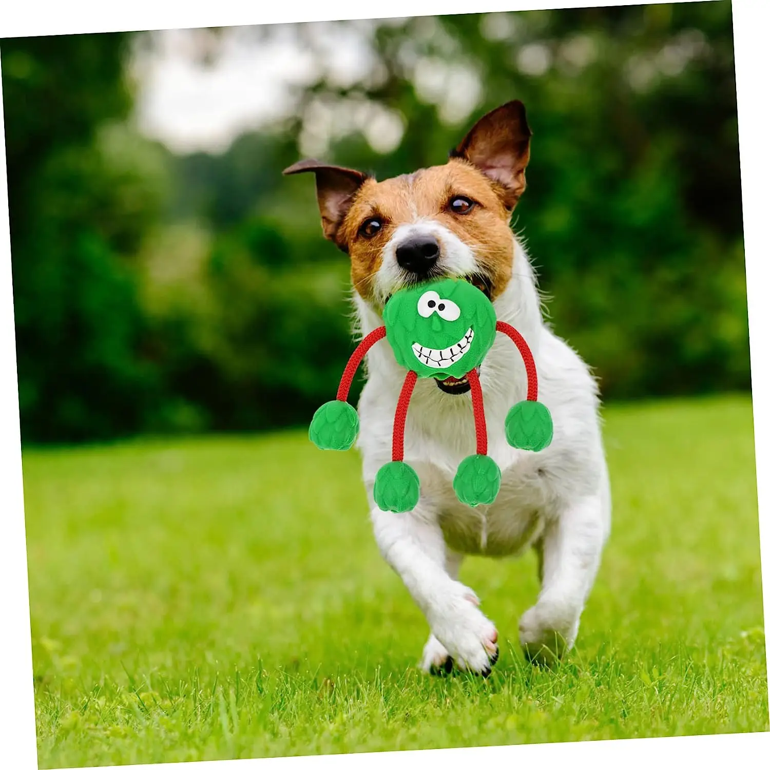 Wholesale Durable Funny Pet Chew Toy Squeaky Vocal Rubber Dogs Teeth Cleaning Grinding Rope Chew Toys