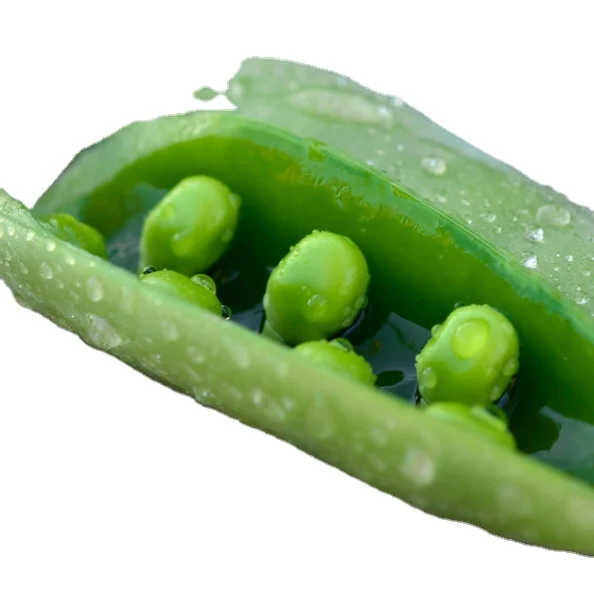 
Marketing HACCP IQF Frozen Vegetable Green Peas Brands Exporters Cheap Price 