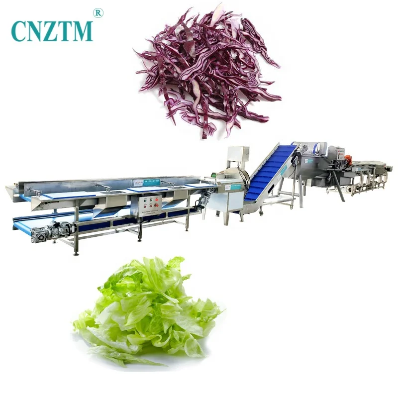 Industrial Automatic Vegetable Washing Cutting Drying Packing Processing line for Making frozen and fresh vegetables
