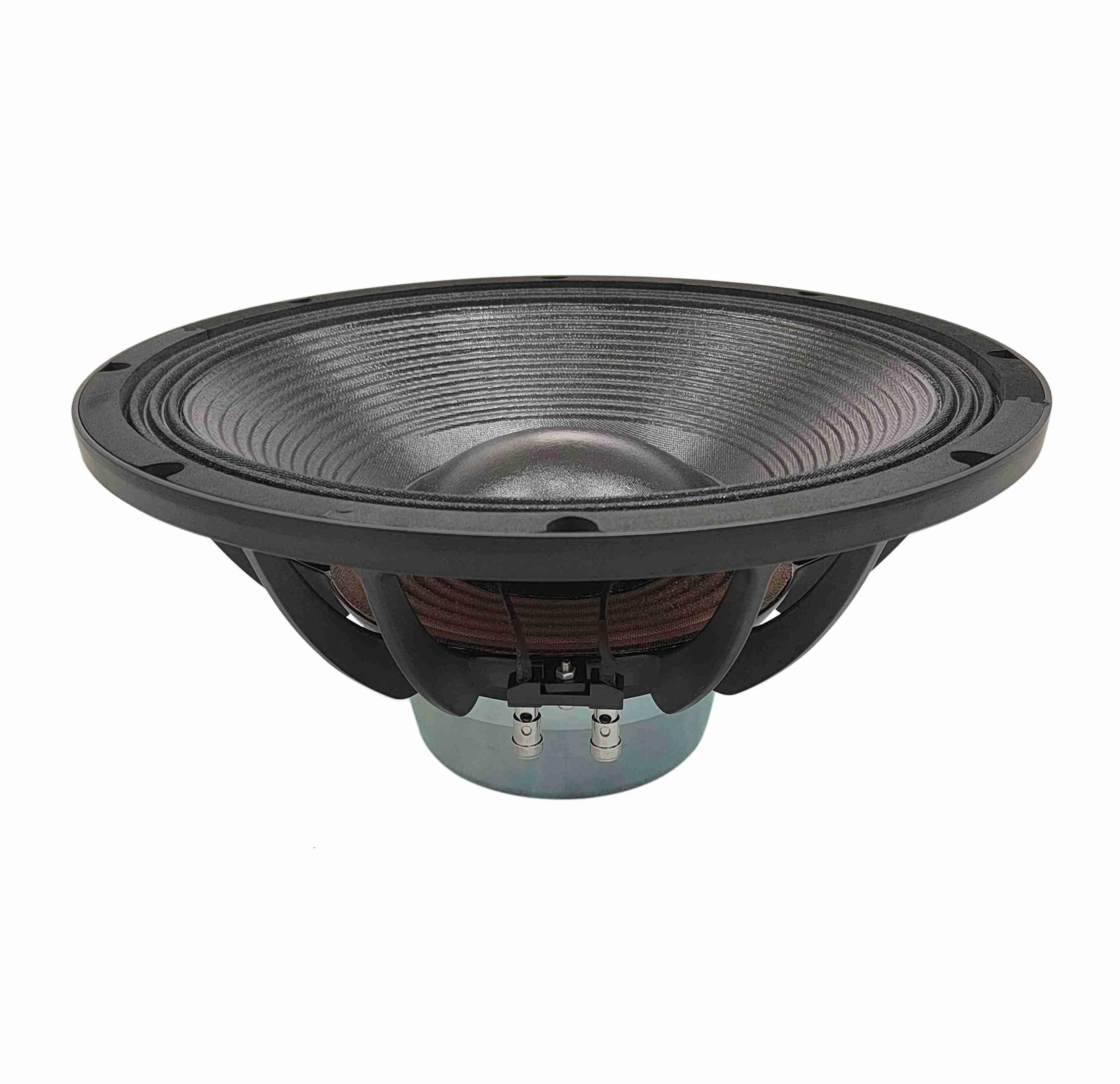 15 Inch Powerful Neodymium Speaker