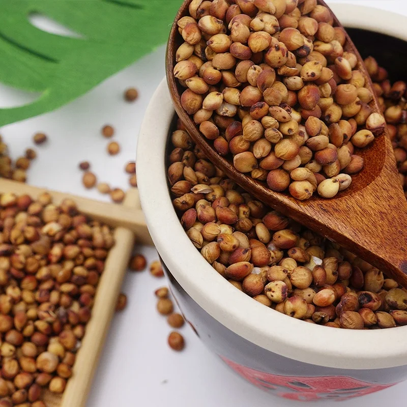 Sweet Sorghum Seed for Sale