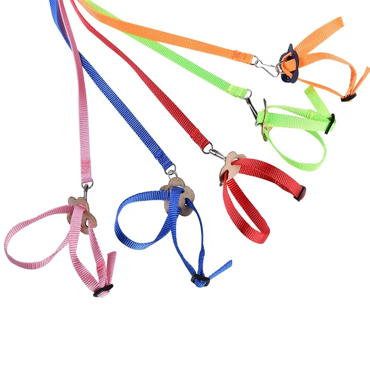 small animals leash multicolor adjustable bird harness and leash complete set birds harness training Parrot leash
